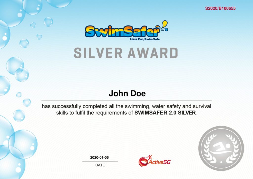 SwimSafer Stage 5 Silver